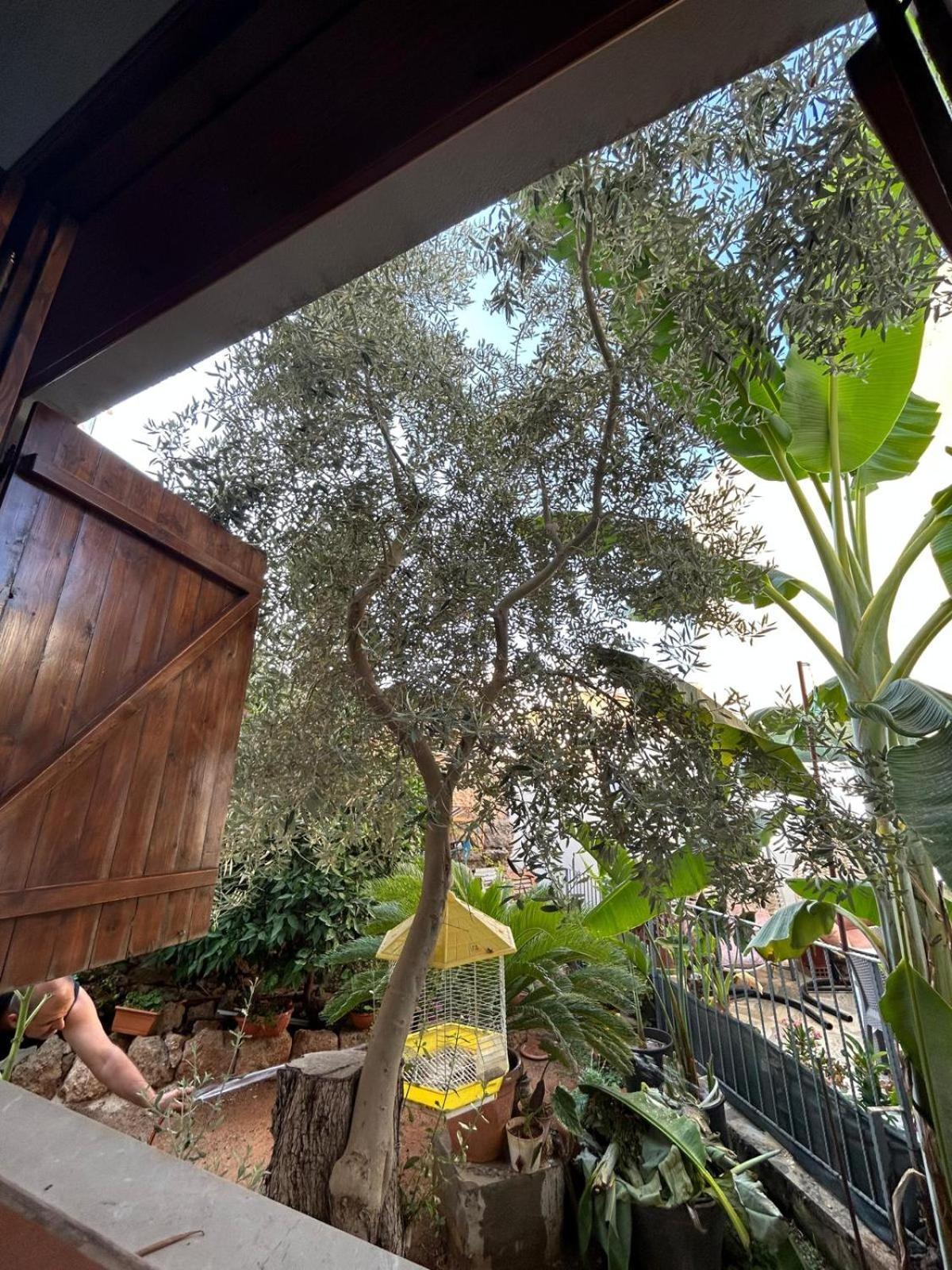 Magic Moon Guest House Famagusta (Northern Cyprus) Exterior foto
